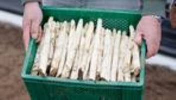 Spargel-Anbau: Spargelzeit in NRW – Bauern setzen auf Erlebnis und Frische