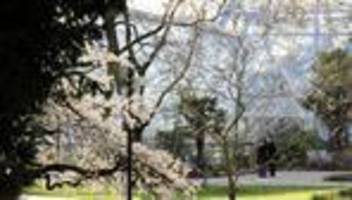 wetterbilanz: milder märz mit viel sonne - und ein eisiger gruß am schluss