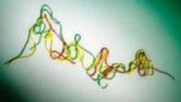 börsenkurse: trumps superkraft lässt nach