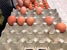 tierseuche breitet sich aus: werden zu ostern die eier knapp?