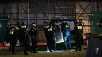 Frau mitten in Hamburg von Wolf gebissen – Tier eingefangen