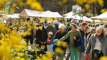 Staudenmarkt in der Domäne Dahlem: Start in die Gartensaison