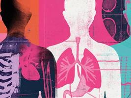 Gesundheitssystem: Das sind die wichtigsten Hebel der Krankenkassenreform