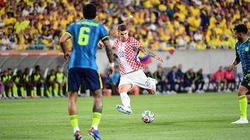 Ist das die einzige Chance, wie der HSV Luka Vuskovic halten kann?