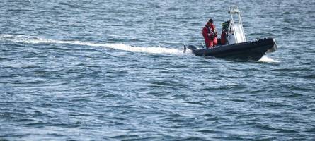 der buckelwal ist frei – und abgetaucht