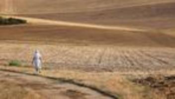 Klimawandel in Deutschland: Erderwärmung soll besonders im Süden und Osten für Hitzewellen sorgen