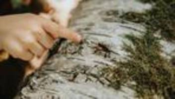 naturwissenschaftliche frühförderung: kinder brauchen kein labor, um zu forschen