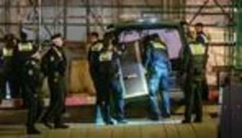 Wolf in Hamburg: Wolf im Wolfspelz