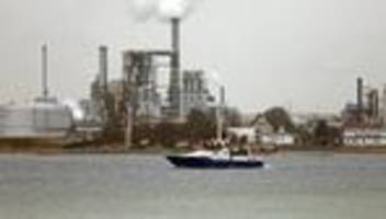 wal in der ostsee: buckelwal sitzt wieder fest