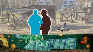 Ein Streichelzoo, die AfD und 350.000 Euro vom Senat