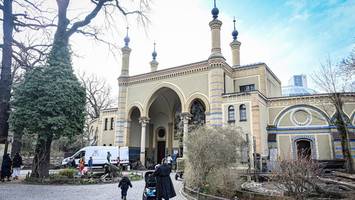 Neue WG im Zoo: Welche Tiere sich künftig das Antilopenhaus teilen