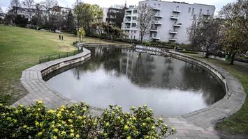 Seerosenteich im Weinbergspark aus Versehen weggeblubbert