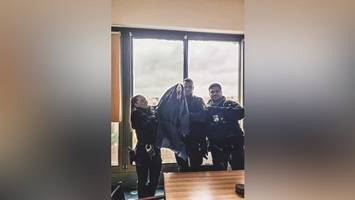 Ungewöhnlicher Einsatz: Polizisten retten Schwan von Balkon in Kreuzberg