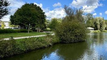 dunkel, unsicher: elmshorn will „groß denken“ beim neuen steindammpark