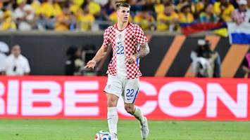 reisestrapazen für vuskovic: reicht es für das hsv-spiel?