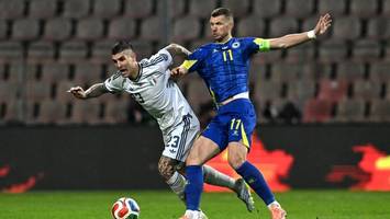 Schalke feiert mit! Dzeko und Katic fahren sensationell zur WM