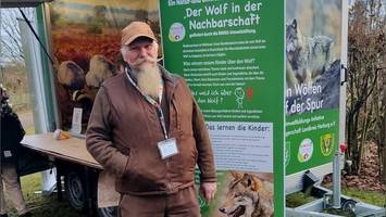 Wolfsangriff auf Frau in Hamburg: „Ein Vorfall, der sich wiederholen wird“