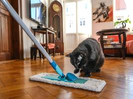 Gesellschaft: Nimm das, du mieses Laminat!