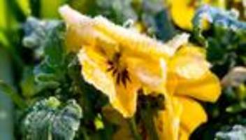 dwd-vorhersage: tagsüber heiter und nachts frostig in nordrhein-westfalen