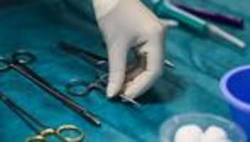 krankenhaus-versorgung: ein jahr klinikreform - was hat sich für patienten geändert?