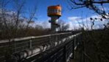 Nationalpark: Knospen sprießen - Saisonbeginn auf dem Baumkronenpfad