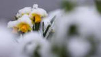 Regen, Wolken und Schnee: Graue Wochenmitte: Wann zeigt sich wieder die Sonne?