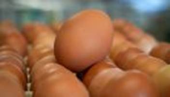 Statistik: Boden, Freiland oder Öko? Wo Sachsen-Anhalts Eier herkommen