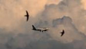 Treibstoffknappheit: Wird jetzt der Diesel knapp?