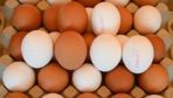 Trotz Tierseuchen: Geflügelverband: Genug Eier zu Ostern in MV