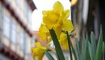 wettervorhersage: sonne und wolken zur mitte der osterwoche