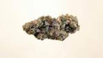 Cannabislegalisierung: Forscher warnen vor Psychosen durch Medizinalcannabis