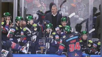 eisbären: von leise-trinkern, ventilator-apps und kompressionsstiefeln