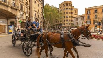 Tierschützer feiern Erfolg: Keine Pferdekutschen mehr auf Mallorca