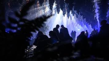 „Forest Seasons“: Neue Lichtinstallation verzaubert Lichtenberg