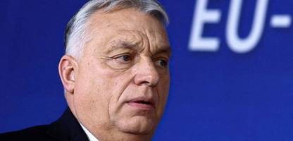 Ungarn vor der Wahl: Europarat krisitiert »vergiftetes Klima« im Land