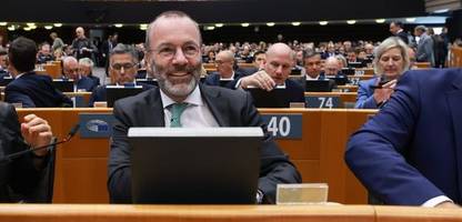 brandmauer zur afd: parlament der scheinheiligen