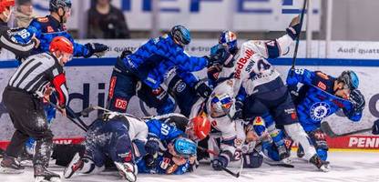 eishockey: brutales foul beendet partie zwischen erc ingolstadt und red bull münchen vorzeitig