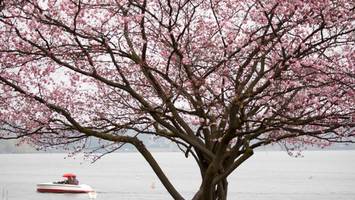 Frühling lässt auf sich warten: So wird das Osterwetter in Hamburg