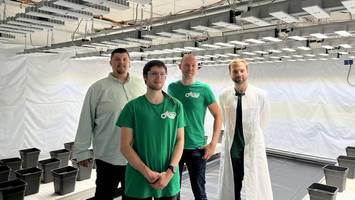 Streit mit Behörde vorbei: Cannabis-Club „Forever 420 e.V.“ kann eröffnen