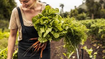 bäuerin julia (19) geht im anbau auf: ich finde es magisch, dass mein gemüse auf einem teller landet