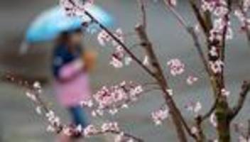 aussichten: regnerische und milde osterfeiertage in sachsen