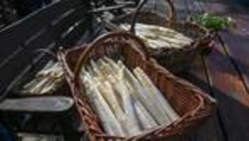 Spargelsaison eröffnet: Es ist Spargelzeit – Ernte, Preise und Besonderheiten