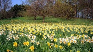 Langes Wochenende in Berlin: Das sind vier schöne Spaziergänge im Grünen