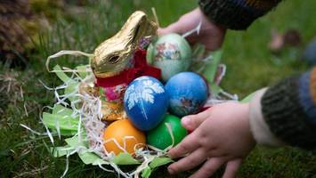 so teuer ist ostern für berliner familien: da schlackern einem die hasenohren