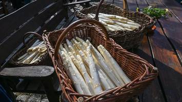 Spargel: Das sind die aktuellen Preise – Bauern stecken in einem Kostendilemma