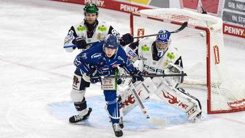 eisbären müssen nach overtime-krimi nachsitzen