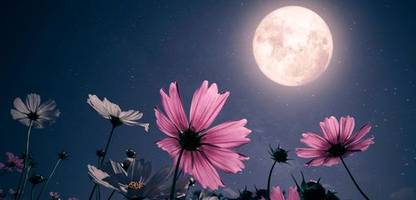 Artemis-Mission: Sie fliegen gerade zum Mond? Dann haben wir die passende Musik!