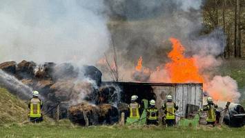 mehr als 60 strohballen in flammen – 11-jähriger soll feuer verursacht haben