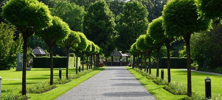 Trauerspaziergang im Botanischen Garten
