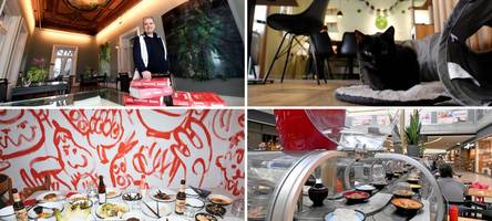 von katzencafé bis running sushi: diese restaurants gibt es in augsburg nur einmal